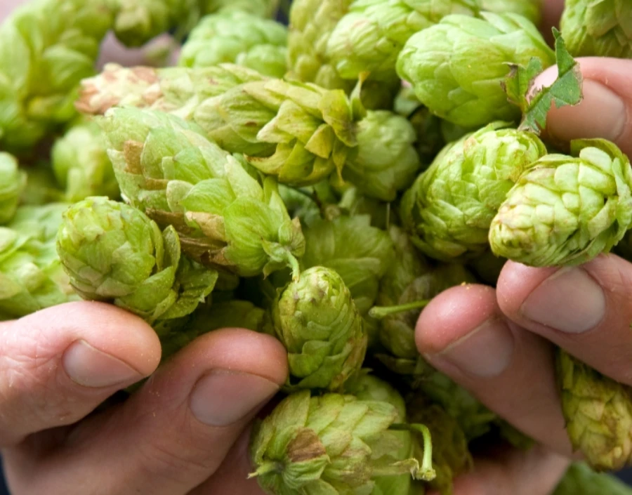 Image for South Africa Tours Service - Brewery near me, South Africa Brewery, Events, Tours, craft bear near me, Bespoke Brews, Staff Training, Brewery in Johannesburg
